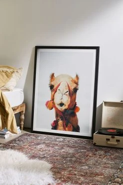 Cheap 🛒 Sisi And Seb Camel Art Print Black Wood Frame 😍