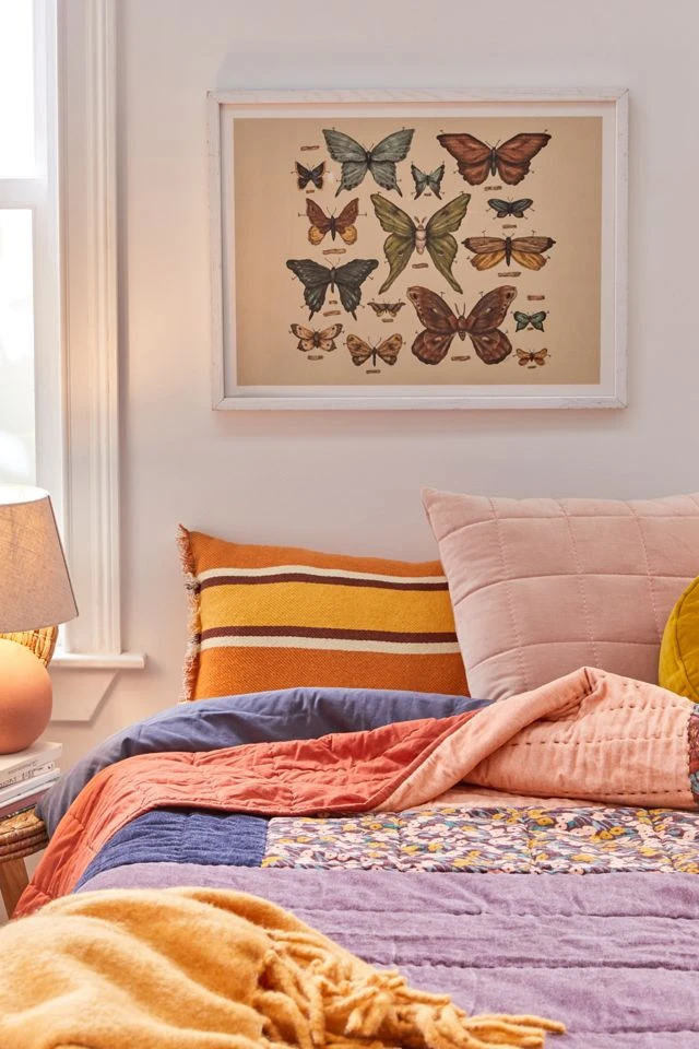 Discount π₯ Jessica Roux Butterflies And Moth Specimens Art Print White Wood Frame π