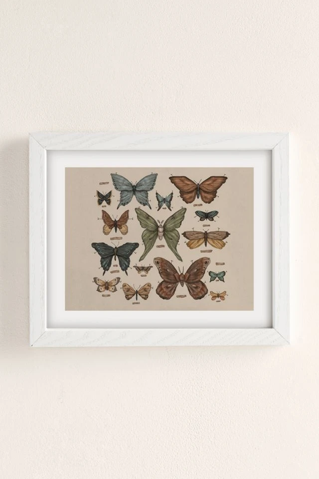 Discount π₯ Jessica Roux Butterflies And Moth Specimens Art Print White Wood Frame π - Image 2