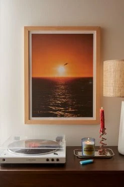 Outlet 🧨 Cooper Pattison Flying Solo Art Print Natural Wood Frame 🔥