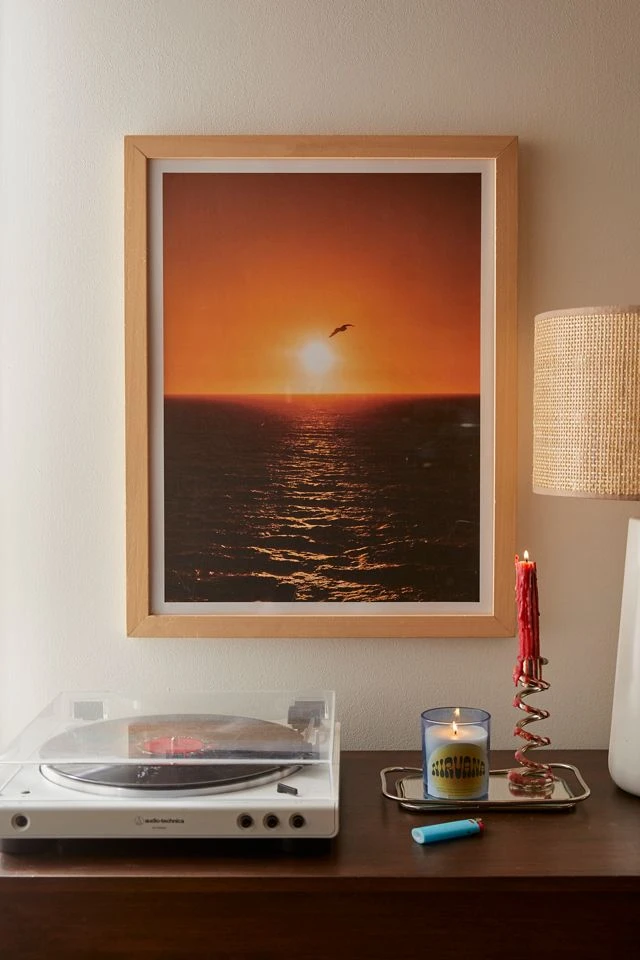 Outlet 𧨠Cooper Pattison Flying Solo Art Print Natural Wood Frame π₯