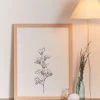 Brand new 😉 The Colour Study Cotton Flower Illustration Natural Wood Frame ✨
