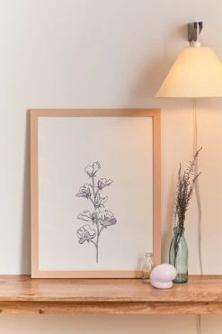 Brand new 😉 The Colour Study Cotton Flower Illustration Natural Wood Frame ✨