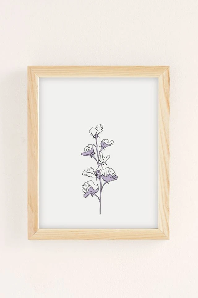Brand new π The Colour Study Cotton Flower Illustration Natural Wood Frame β¨ - Image 2