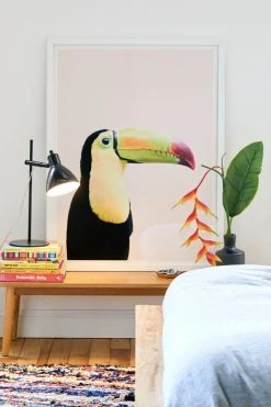 Promo π Sisi And Seb Toucan Art Print Modern White π