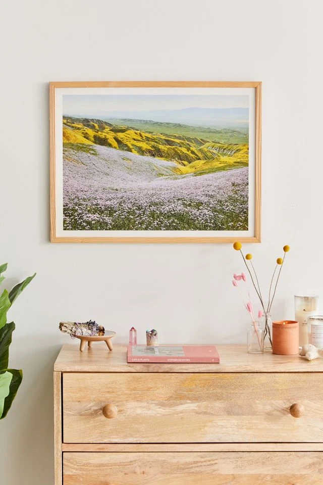 Buy π Kevin Russ California Wildflowers Art Print Natural Wood Frame π