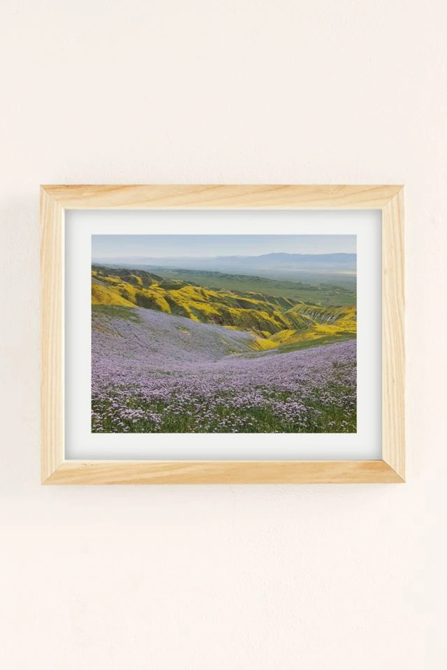 Buy π Kevin Russ California Wildflowers Art Print Natural Wood Frame π - Image 2