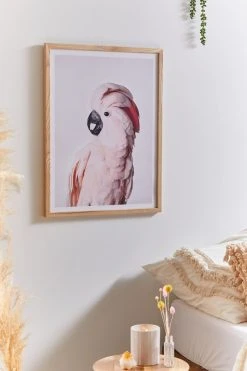 Outlet 😍 Sisi And Seb Pink Cockatoo Art Print Natural Wood Frame 🔔