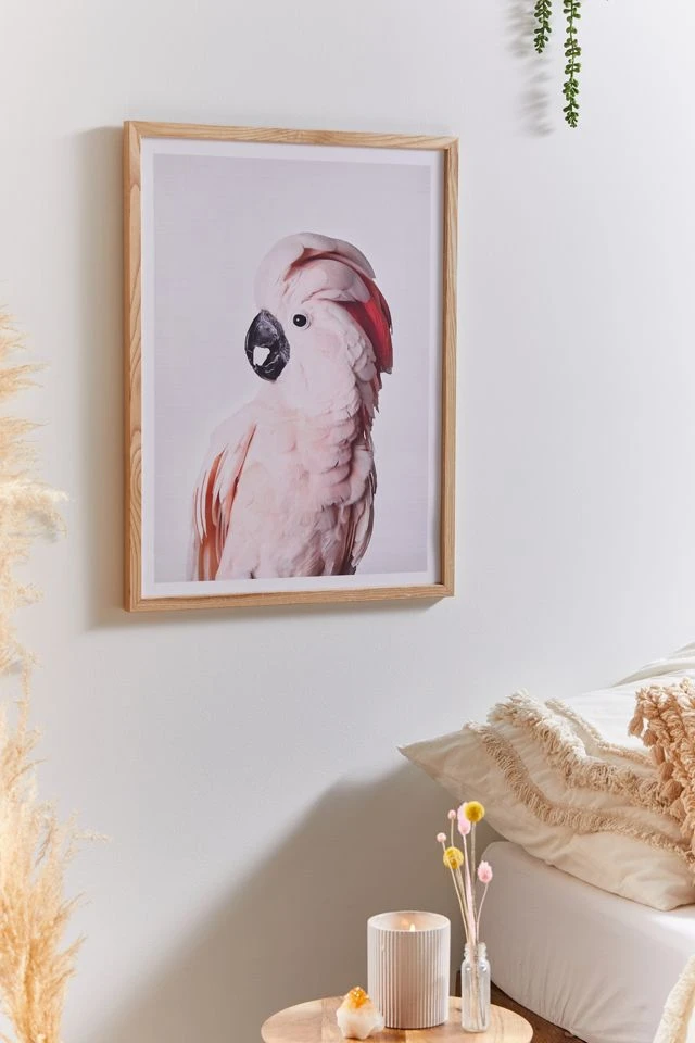 Outlet π Sisi And Seb Pink Cockatoo Art Print Natural Wood Frame π