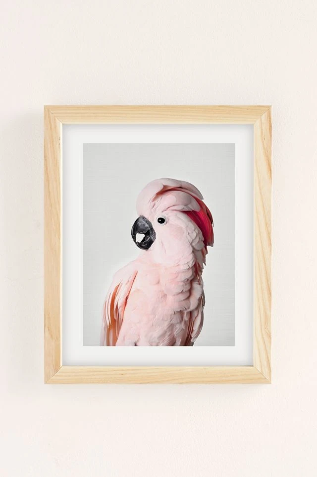 Outlet π Sisi And Seb Pink Cockatoo Art Print Natural Wood Frame π - Image 2