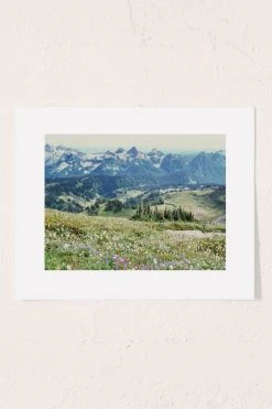 Outlet 😀 Hillary Murphy Wildflower Meadow Art Print No Frame ⭐