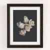Flash Sale ✔️ Ingrid Beddoes Pink Ivory Rose Art Print Black Wood Frame 🎉