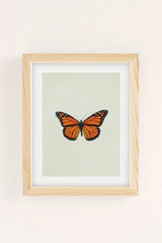 Cheap β Chelsea Victoria The Queen Butterfly Art Print Natural Wood Frame π - Image 2