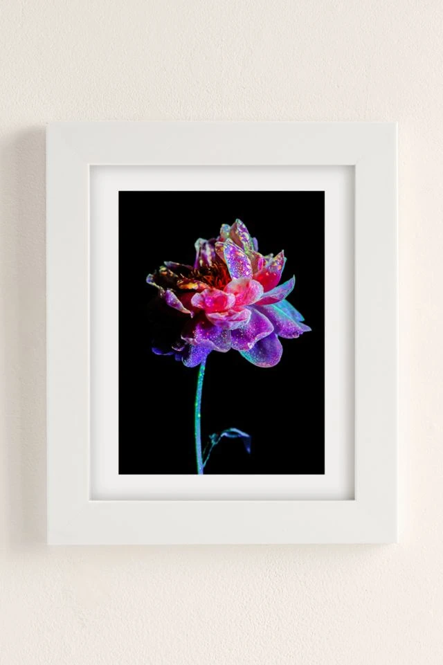 Best deal π Elena Kulikova Midnight Peony 2 Art Print White Matte π - Image 2