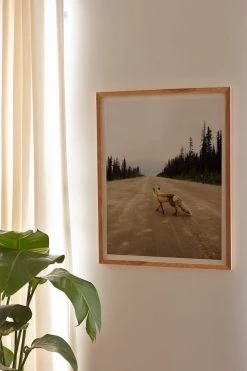 Deals ⭐ Kevin Russ Road Fox Art Print Natural Wood 🥰