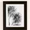 Brand new 💯 Kate Doherty Monochrome LA Palms Art Print Black Matte 😉