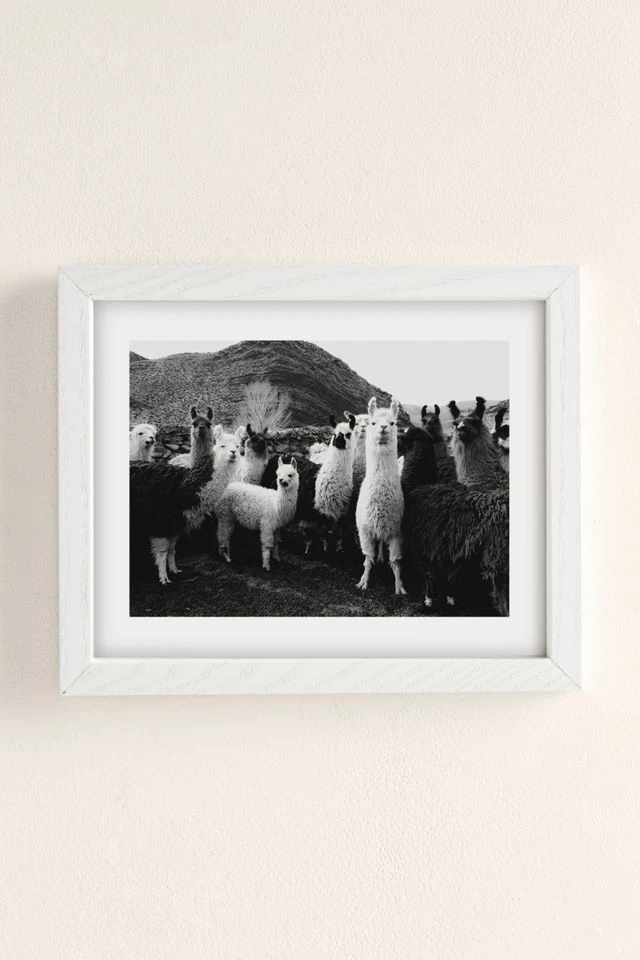 Top 10 π Victoria Aguirre Llamas Family Art Print White Wood Frame π§¨