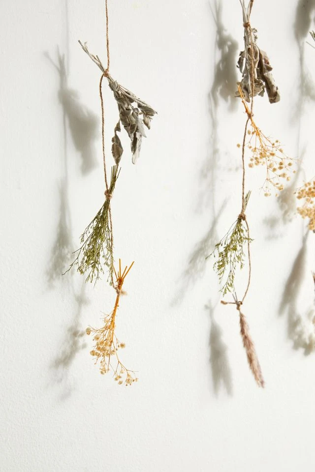 Hot Sale βοΈ Dried Floral Backdrop Neutral π - Image 4