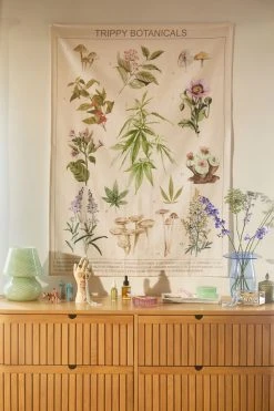 Brand new π₯° Trippy Botanicals Tapestry Multi π₯°