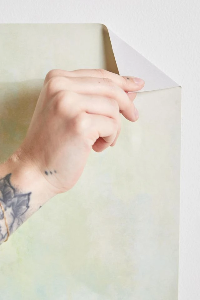 Flash Sale π Misty Morning Removable Wallpaper Olive π - Image 3