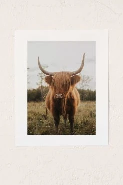 Top 10 🎉 Chelsea Victoria The Curious Highland Cow Art Print No Frame 🌟