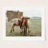 Wholesale 😀 Hello Twiggs Counting Sheep Art Print No Frame 🔔