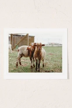 Wholesale 😀 Hello Twiggs Counting Sheep Art Print No Frame 🔔
