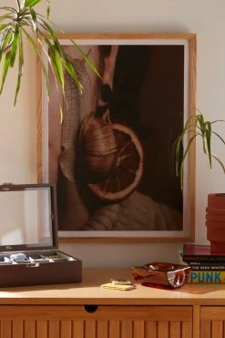 Outlet 🌟 Hallie Kern Snail Art Print Natural Wood Frame 😀
