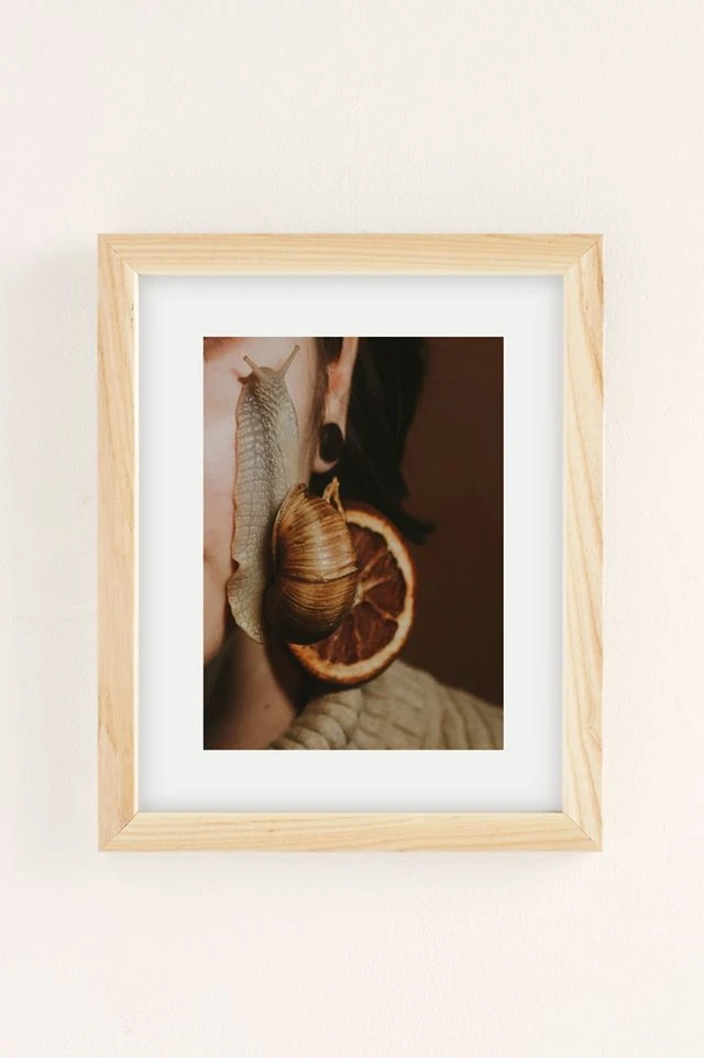 Outlet π Hallie Kern Snail Art Print Natural Wood Frame π - Image 2