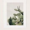 Wholesale ❤️ Romana Lilic Cactus On Blue Sky Art Print No Frame 🎁