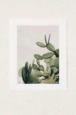 Wholesale ❤️ Romana Lilic Cactus On Blue Sky Art Print No Frame 🎁