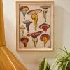 Wholesale ✨ CeciTattoos Sexy Mushrooms Art Print Natural Wood Frame 👏