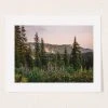 Budget 🎁 Nature Magick Mount Rainier Wildflower Adventure National Park Wanderlust Art Print No Frame 🎉