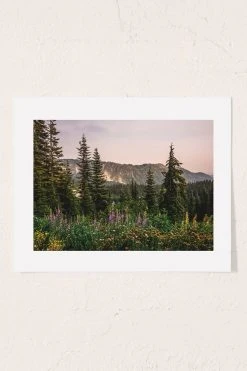 Budget 🎁 Nature Magick Mount Rainier Wildflower Adventure National Park Wanderlust Art Print No Frame 🎉