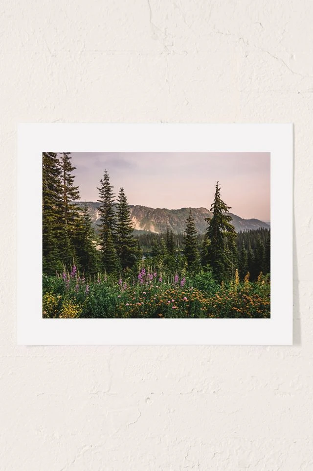 Budget π Nature Magick Mount Rainier Wildflower Adventure National Park Wanderlust Art Print No Frame π