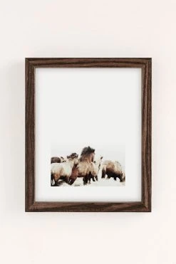 Discount 🎁 Monika Strigel Wild And Free 2 Horses Of Ice Art Print Walnut Wood Frame 😉