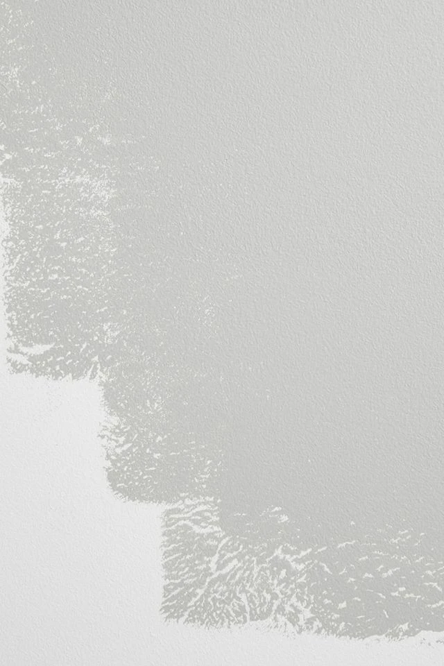 Flash Sale π Backdrop Standard Finish Paint - 1 Gallon Italian Plaster - Light Gray With Blue Undertones βοΈ - Image 3