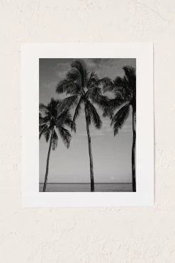 Best reviews of ✨ Bethany Young Photography Hawaiian Palms IV Art Print No Frame 🎉